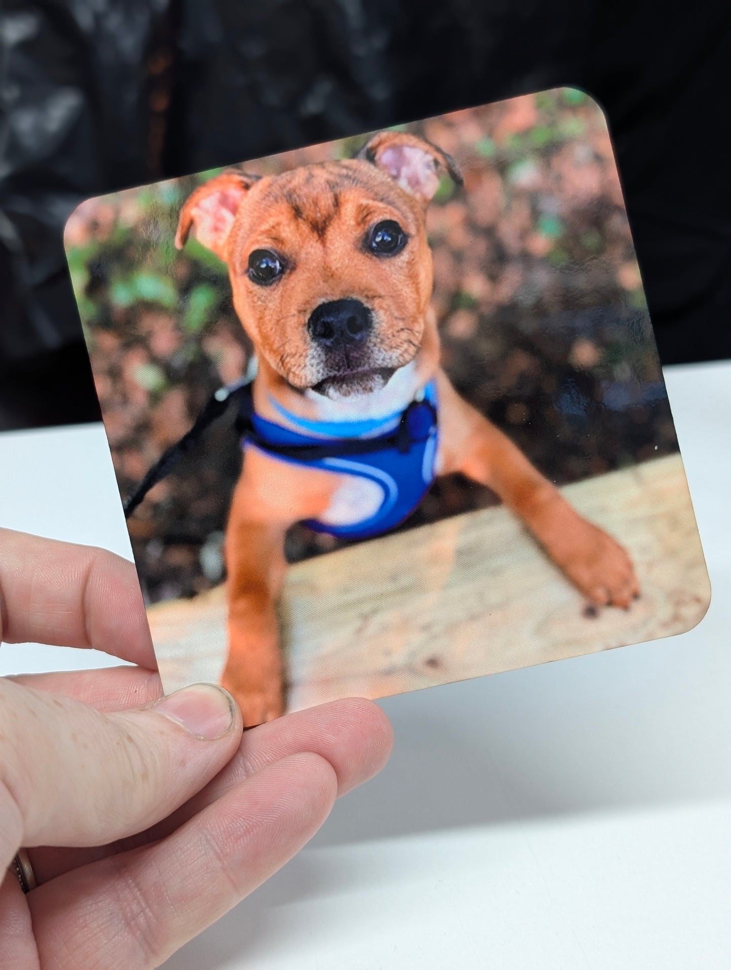 Custom Personalised Coaster - Round or Square