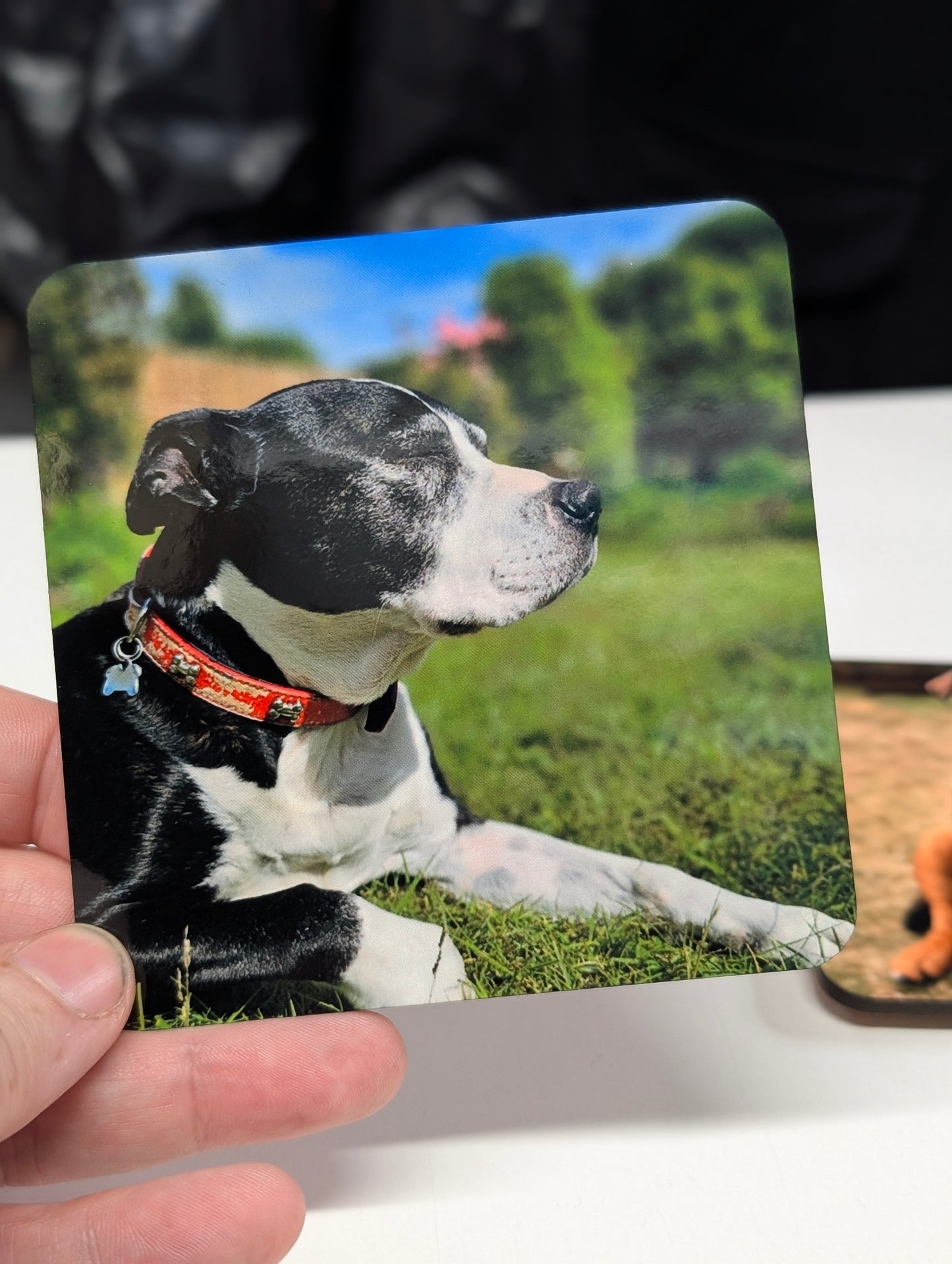 Custom Personalised Coaster - Round or Square