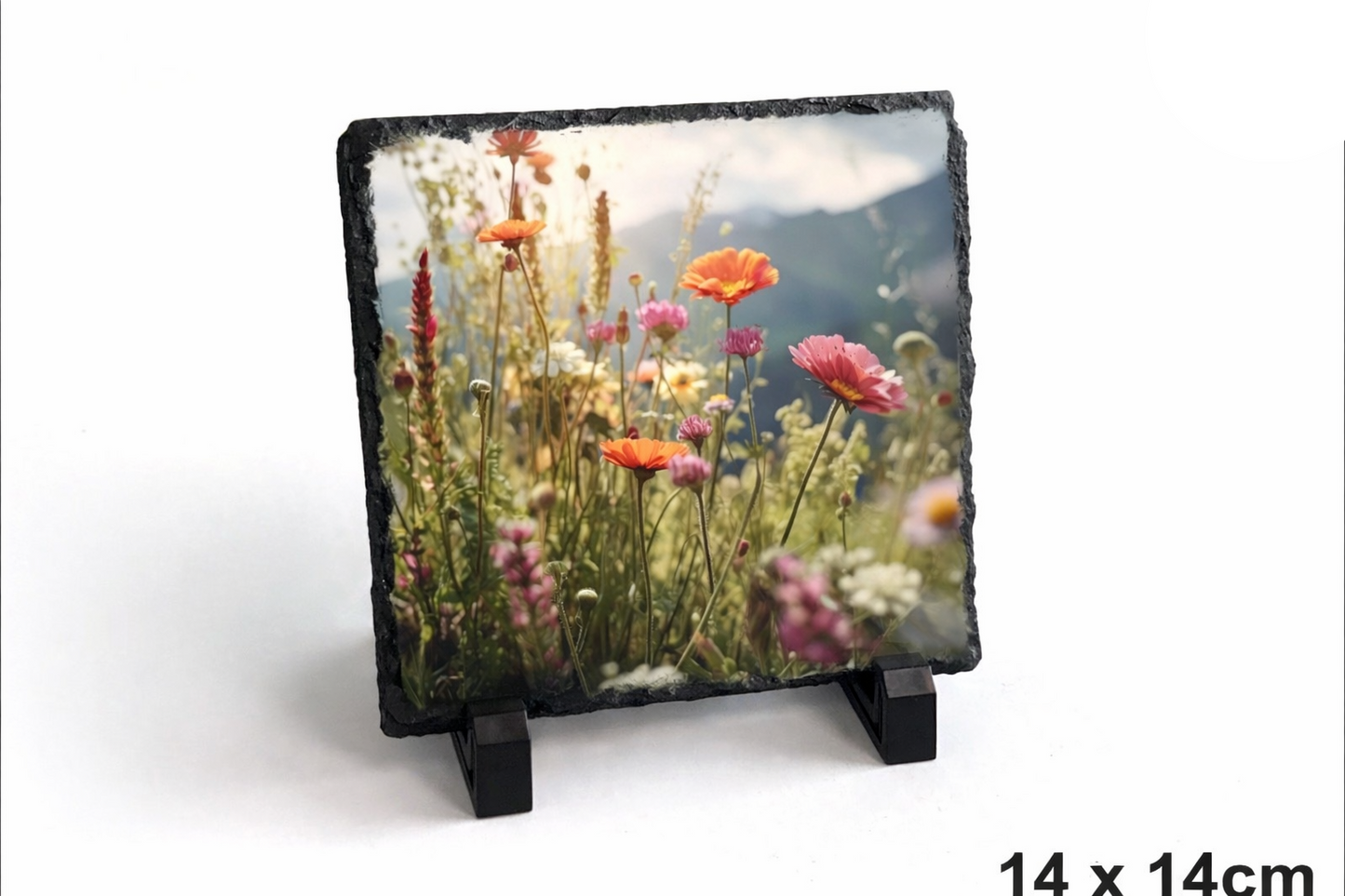 Personalised Photo Slates - Various Shapes and sizes