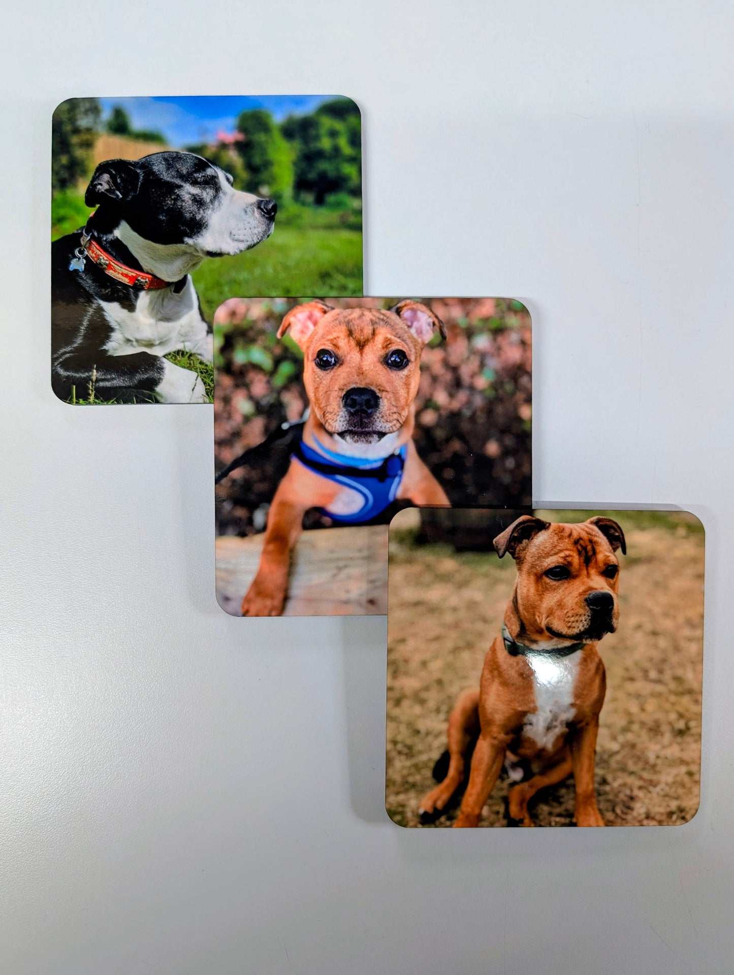 Custom Personalised Coaster - Round or Square